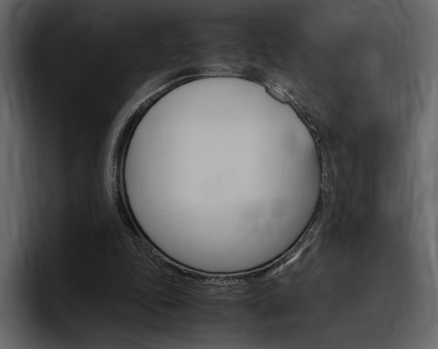 X0000097480343200802220825