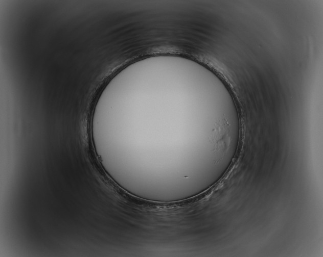 X0000097480345200802220825