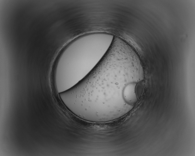 X0000097480346200802220825