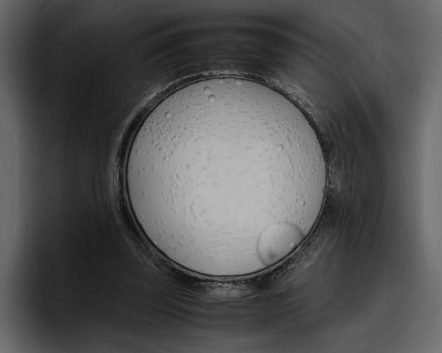 X0000097480347200802220825