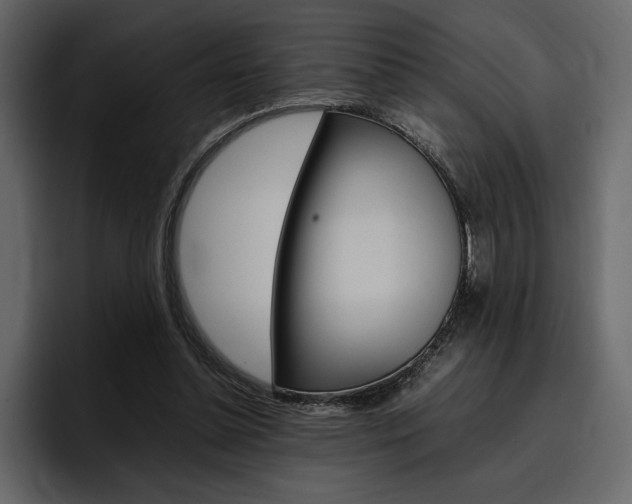 X0000097480348200802220825