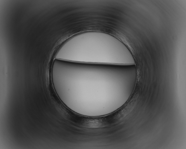 X0000097480349200802220825