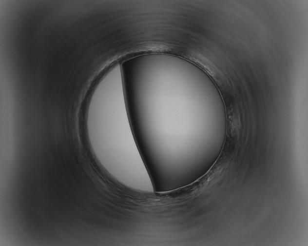 X0000097480350200802220825
