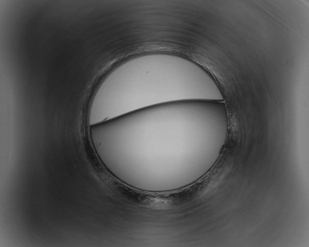 X0000097480352200802220825
