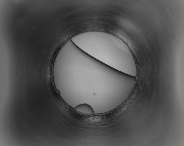X0000097480353200802220825