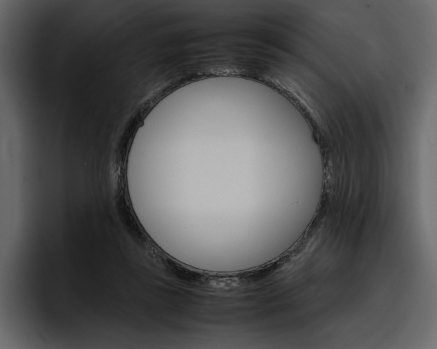 X0000097480355200802220825