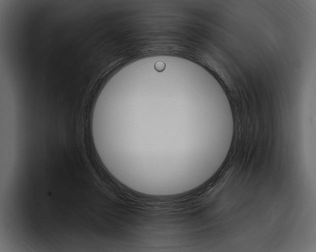 X0000097480356200802220825