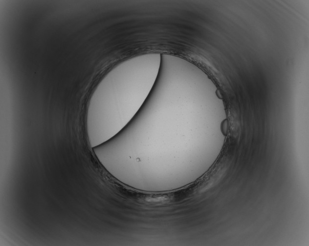 X0000097480357200802220825