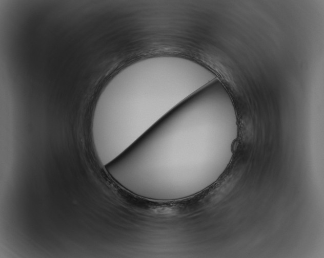 X0000097480358200802220825