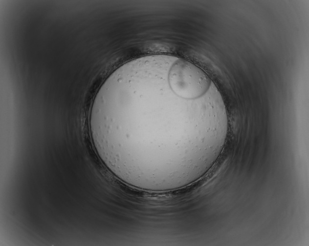 X0000097480359200802220825