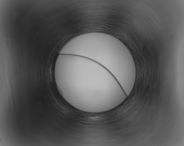 X0000097480360200802220825