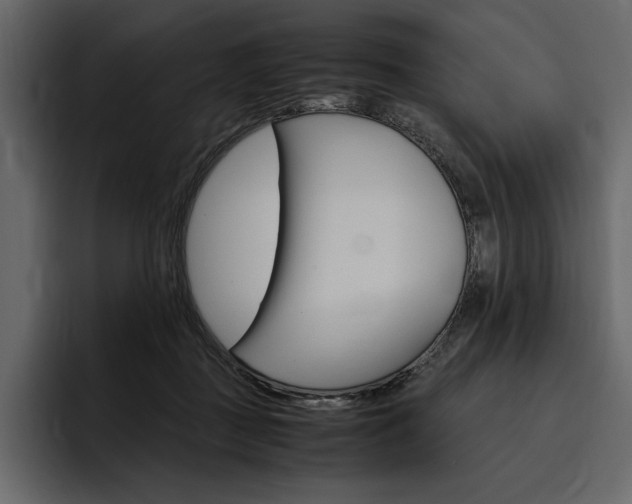X0000097480363200802220825