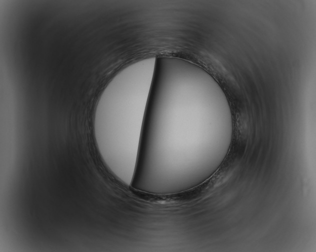 X0000097480364200802220825