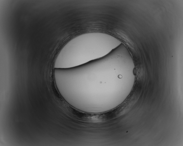 X0000097480365200802220825