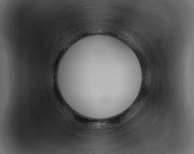 X0000097480366200802220825