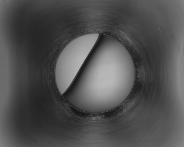 X0000097480368200802220825