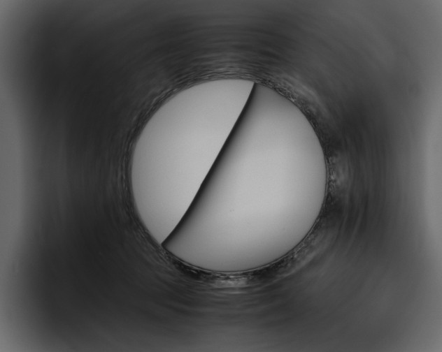 X0000097480369200802220825