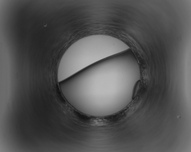 X0000097480372200802220825