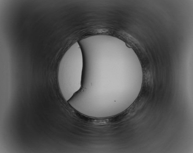 X0000097480373200802220825