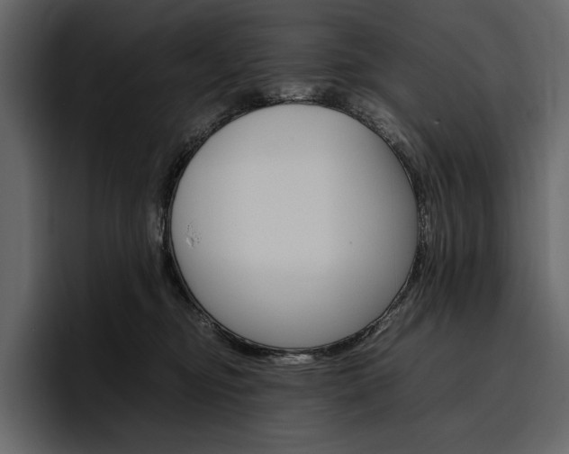 X0000097480374200802220825