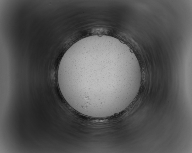X0000097480375200802220825