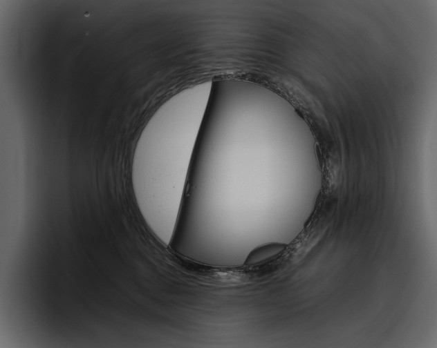 X0000097480376200802220825