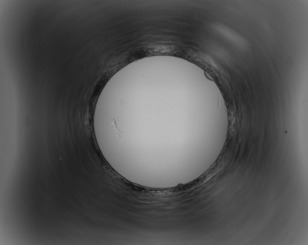 X0000097480377200802220825