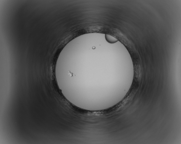 X0000097480378200802220825