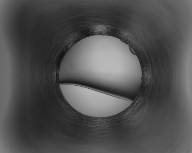 X0000097480379200802220825
