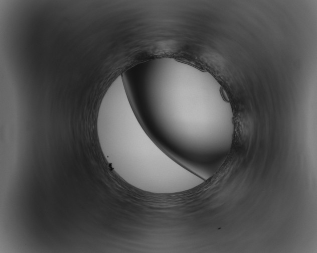 X0000097480380200802220825