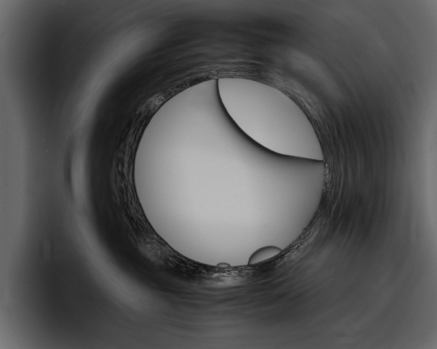 X0000097480381200802220825
