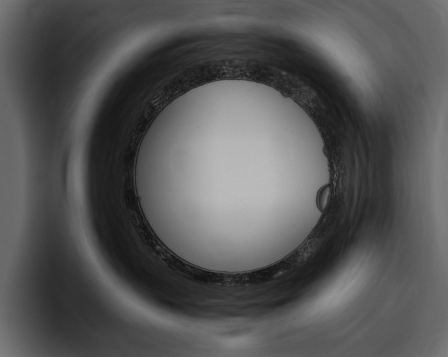 X0000097480383200802220825