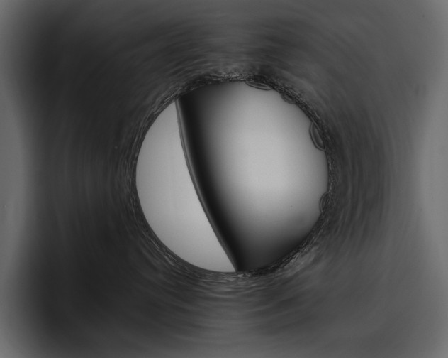 X0000097480384200802220825