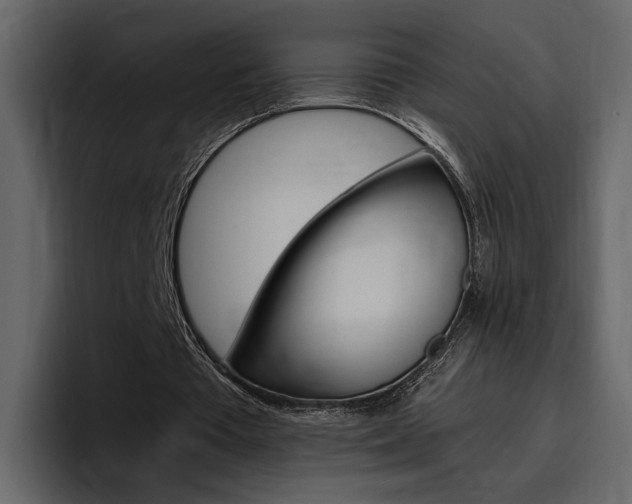 X0000097480385200802220825