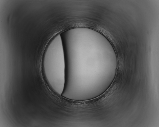 X0000097480386200802220825