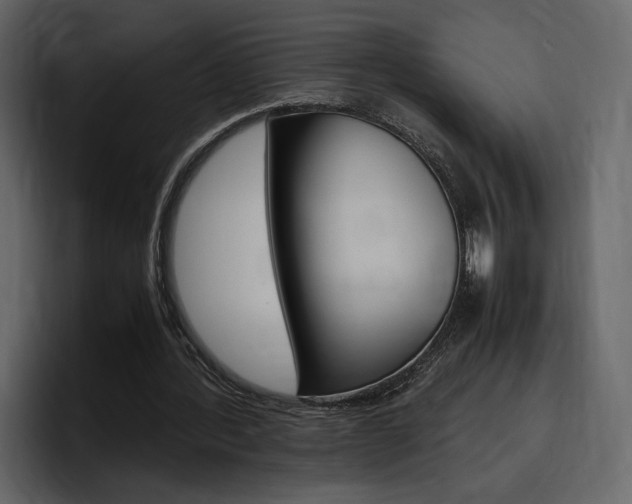 X0000097480388200802220825