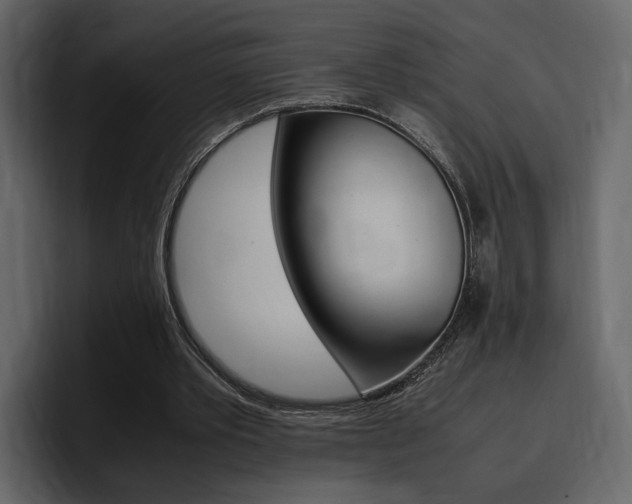 X0000097480389200802220825
