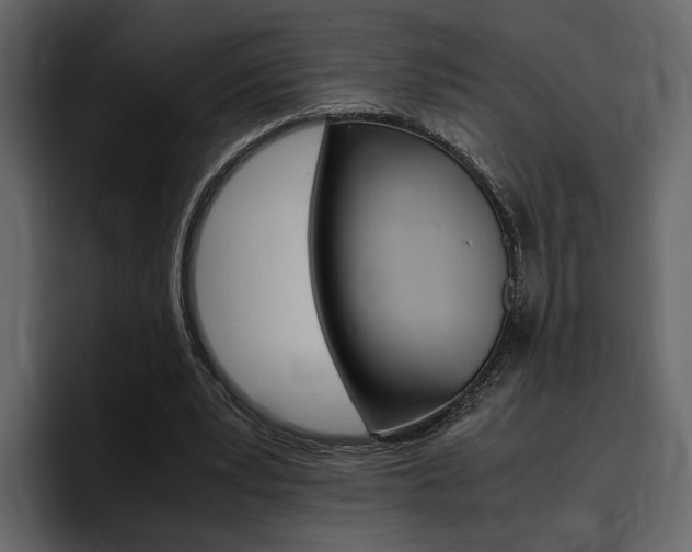X0000097480391200802220825