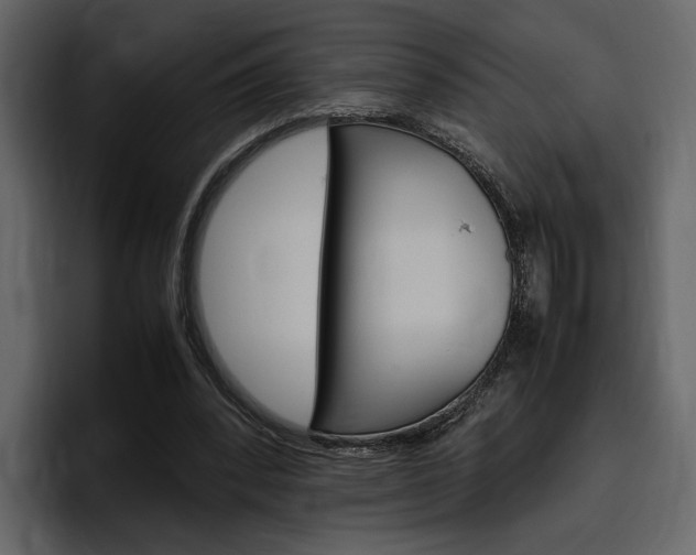 X0000097480392200802220825