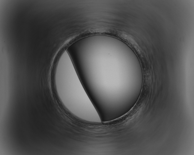 X0000097480395200802220825