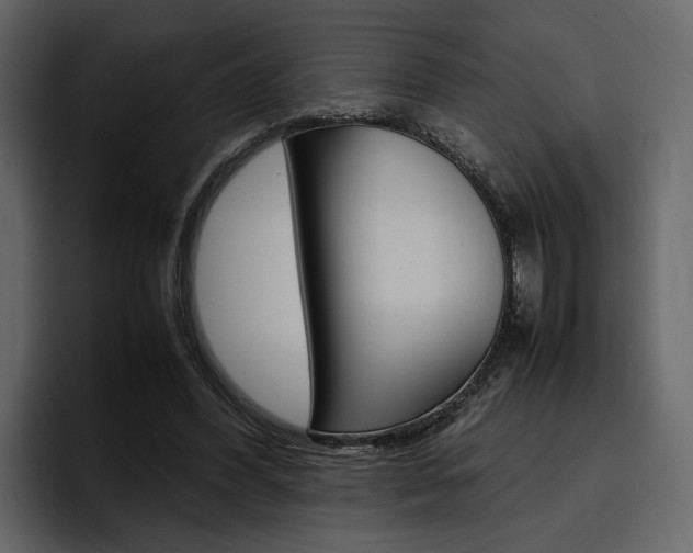 X0000097480396200802220825