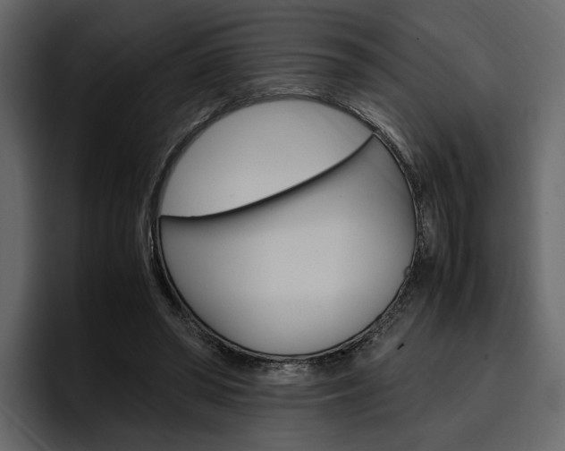 X0000097480398200802220825