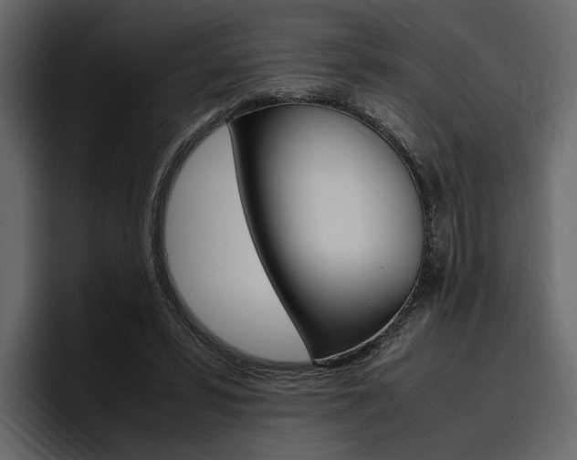 X0000097480399200802220825