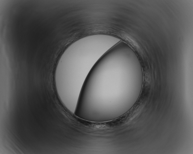 X0000097480401200802220825