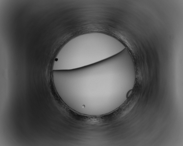 X0000097480402200802220825