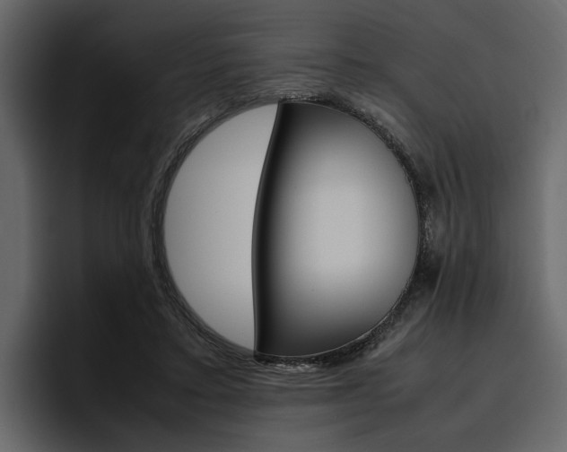X0000097480403200802220825