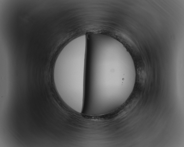 X0000097480404200802220824
