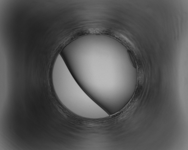 X0000097480405200802220824
