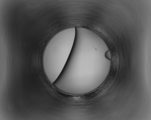 X0000097480406200802220824