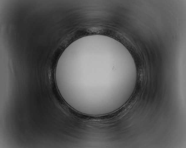 X0000097480408200802220824